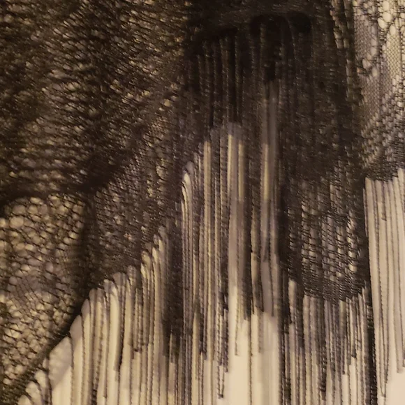 Lace overlay with fringe - Picture 3 of 5